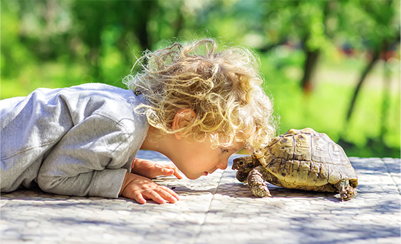Junge mit Schildkröte